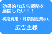 ���ʓI�ȍL���헪��W�J�������B�L����l