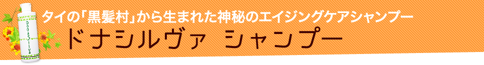 ドナシルヴァ シャンプー