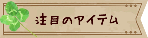 注目のアイテム