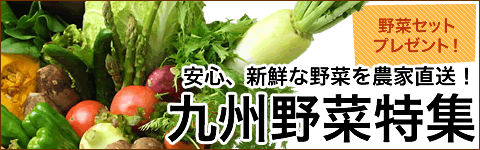 九州野菜特集