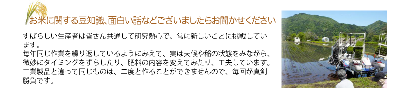 Q.お米に関する豆知識、面白い話などございましたらお聞かせください
A.すばらしい生産者は皆さん共通して研究熱心で、常に新しいことに挑戦しています。
毎年同じ作業を繰り返しているようにみえて、実は天候や稲の状態をみながら、微妙にタイミングをずらしたり、肥料の内容を変えてみたり、工夫しています。
工業製品と違って同じものは、二度と作ることができませんので、毎回が真剣勝負です。

お米づくりは一年一作。
二十歳で米づくりをはじめて、八十歳まで続けられても一生かけてチャレンジできる回数はわずか６０回。その内の１回１回を毎年我々は頂いているということを多くの方に知って頂きたいと思います。