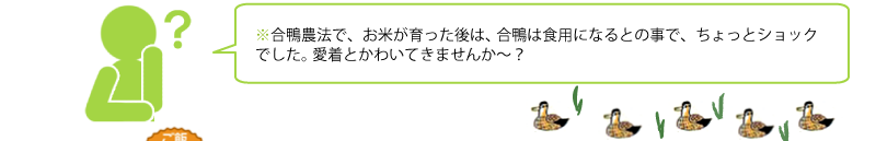 合鴨農法で、お米が育った後は、合鴨は食用になるとの事で、ちょっとショックでした。 愛着とかわいてきませんか～？