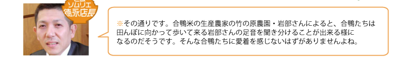 その通りです。合鴨米の生産農家の竹の原農園・岩部さんによると、合鴨たちは田んぼに向かって歩いて来る岩部さんの足音を聞き分けることが出来る様になるのだそうです。そんな合鴨たちに愛着を感じないはずがありませんよね。
