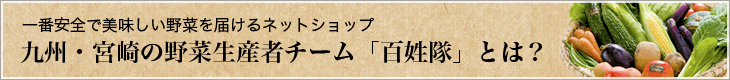 九州・宮崎の野菜生産者チーム「百姓隊」とは？