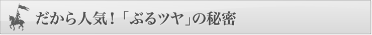 だから人気！ 「ぶるツヤ」の秘密