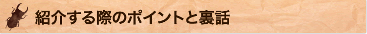 紹介する際のポイントと裏話