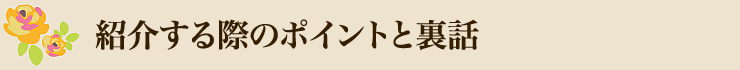 紹介する際のポイントと裏話