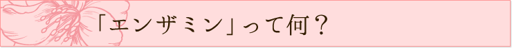 「エンザミンのパイオニア　エンザラボ」ってどんなコスメ？