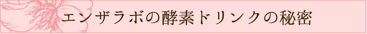 エンザミンの酵素ドリンクの秘密