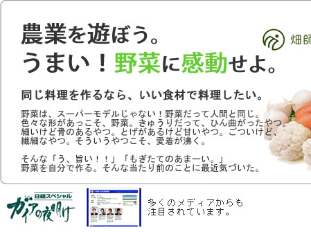 株式会社マイファームは休耕地（農地）を貸し農園（市民農園）付き手づくり野菜教室へリニューアルする社会貢献型ビジネスを提案しています