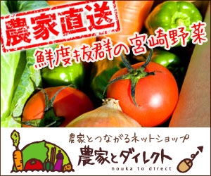 新鮮野菜を農家から直送！生産者の思いも伝わる本物の宮崎野菜を是非！