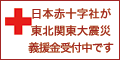 日本赤十字社 義援金受付バナー 120x60pxサイズ